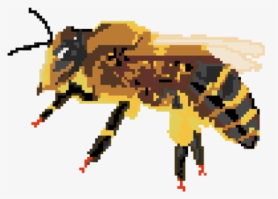 Beebutton1 - Honeybee, HD Png Download, Free Download