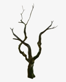 #treetrunk #tree #oldtree #spooky - Wood, HD Png Download, Free Download