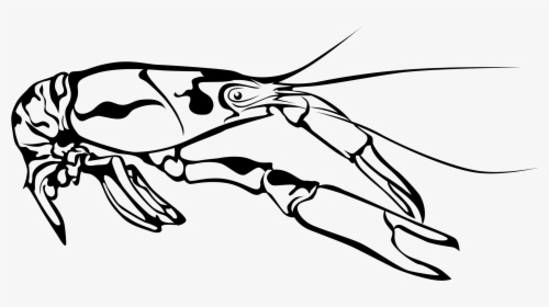 Crawfish Clip Art Black And White , Png Download - Crawfish Vector Outline, Transparent Png, Free Download