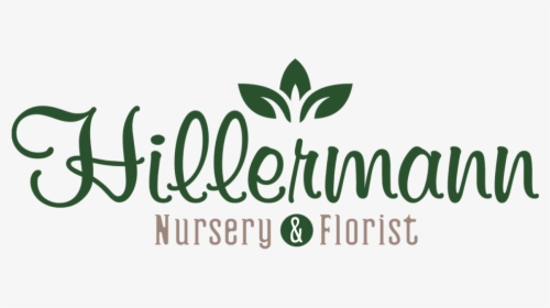 Hillermann Nursery & Florist - Calligraphy, HD Png Download, Free Download