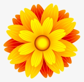 Flower Orange Blossom Clip Art - Orange Flower Clipart Png, Transparent Png, Free Download