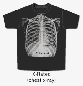 X-ray - Blue Skeletal System Anatomy Shirt, HD Png Download, Free Download
