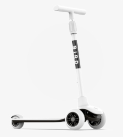 Dove-white Loweredneck - Highlight - Segway, HD Png Download, Free Download