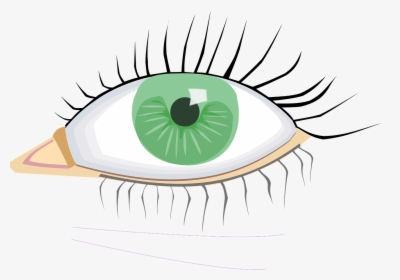 Eye Clip Art, HD Png Download, Free Download
