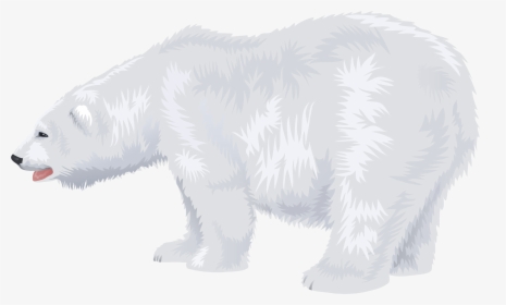 Polar White Bear Png - Transparent Background Clip Art Polar Bear, Png Download, Free Download