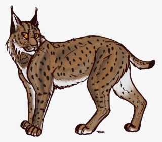 Download Lynx Transparent - Canada Lynx Clipart, HD Png Download, Free Download