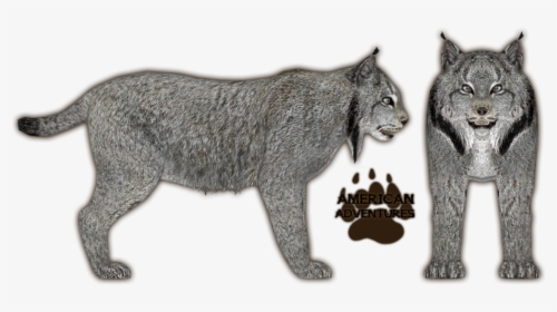 Lynx Png Download Image - Zoo Tycoon 2 Lynx, Transparent Png, Free Download