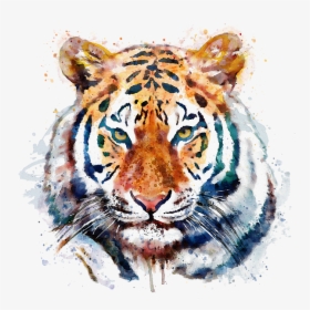 Tiger Drawing Watercolor, HD Png Download, Free Download