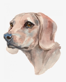 Dog Full - Dachshund, HD Png Download, Free Download