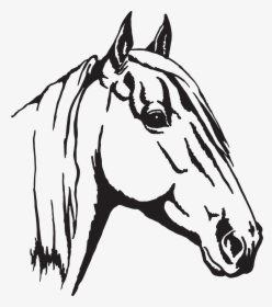 Arabian Horse Appaloosa Horse Head Mask Clip Art - Arab Horse Line Art, HD Png Download, Free Download