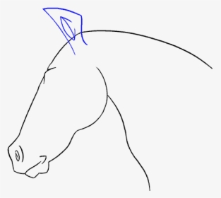 How To Draw Horse Head - Line Art, HD Png Download, Free Download