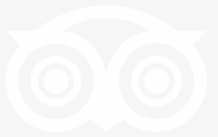 Tripadvisor-icon, HD Png Download, Free Download