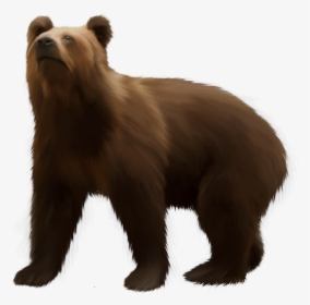 Bear Brown Png Clip Art - Brown Clipart Of Bear, Transparent Png, Free Download