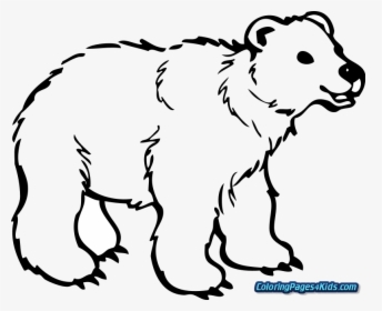 Transparent Coloring Pages Png - Outline Pictures Of Wild Animals, Png Download, Free Download