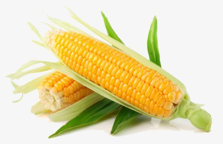 Corn - Corn Png, Transparent Png, Free Download