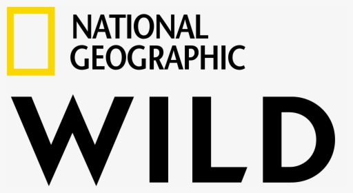M I H S I G N 	• V I S I O N - Nat Geo Wild Logo Png, Transparent Png, Free Download