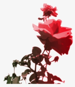 Roses Png Clip Arts - Roses Clipart, Transparent Png, Free Download