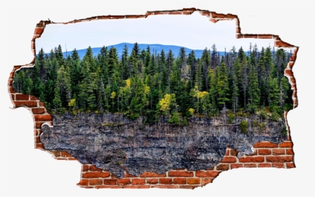 Zapwalls Decals Trees Cliffside Breaking Wall Nature"  - Cliff And Trees, HD Png Download, Free Download