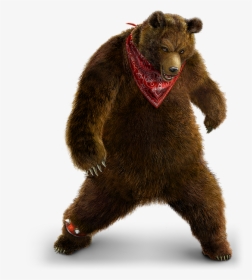 Click To Expand - Bear From Tekken, HD Png Download, Free Download