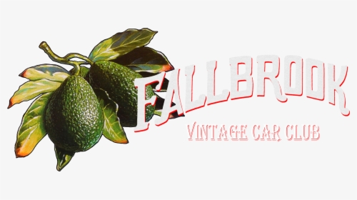Fallbrook Vintage Car Club, HD Png Download, Free Download