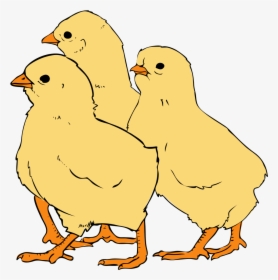 Picture Freeuse Download File Svg Wikipedia Filechicks - Clipart Picture Of Chicks, HD Png Download, Free Download