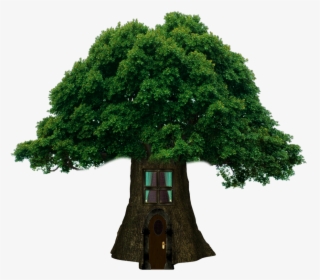 Thumb Image - One Trees, HD Png Download, Free Download