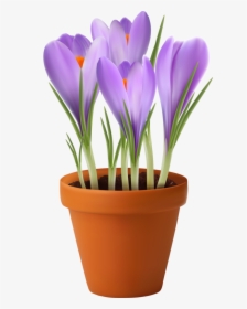 Potted Plants Transparent Clipart , Png Download - Vector Art Flower Pot, Png Download, Free Download