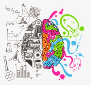 Intelligent Brain Png Image - Left Brain Right Brain, Transparent Png, Free Download