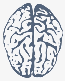 Brain Png Website - Blue Brain Clip Art, Transparent Png, Free Download