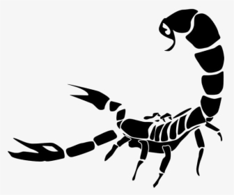 Portable Network Graphics Scorpion Clip Art Transparency - Scorpion Png, Transparent Png, Free Download