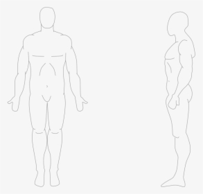 Human Body Front And Side - Anatomical Position Front And Side, HD Png Download, Free Download