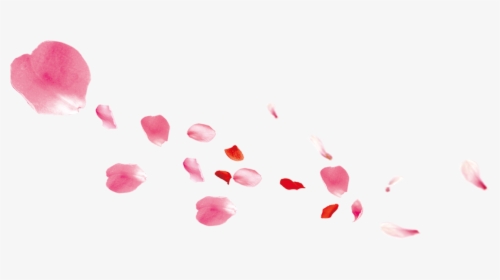Falling Pink Petals Transpa Png Clipart Free Ya - Pink Rose Petal Falling, Transparent Png, Free Download