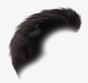 Hair Png - Lace Wig, Transparent Png, Free Download