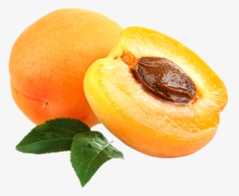 Apricot Png, Transparent Png, Free Download