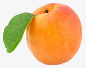 Apricot Png Image - Apricot Png, Transparent Png, Free Download
