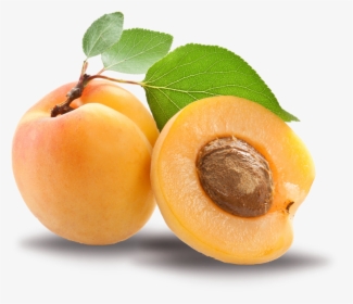 Apricot Kernel Png, Transparent Png, Free Download