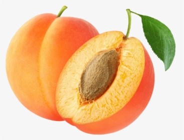 Apricot Png Photo - Apricot Transparent Png, Png Download, Free Download