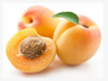 Apricot On White Background, HD Png Download, Free Download