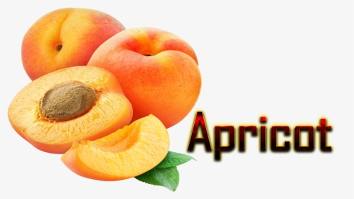 Apricot Png , Png Download - Apricot Fruit Image Png, Transparent Png, Free Download