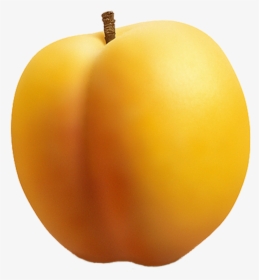 Apricot Png Image - Абрикос Рисунок Пнг, Transparent Png, Free Download