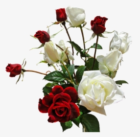 67, Backgrounds V - Romantic Love Love White Rose Flower, HD Png Download, Free Download