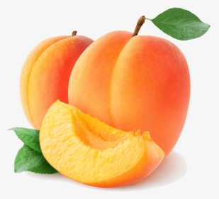 1-mcp On Apricot - Apricot Png, Transparent Png, Free Download