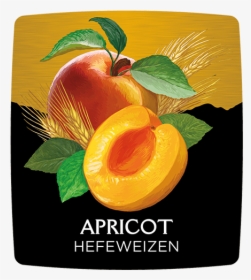 Wasatch Apricot Hefeweizen, HD Png Download, Free Download