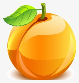 Peach, HD Png Download, Free Download