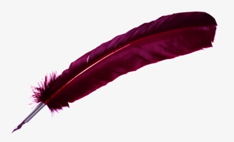 Pen Hd Png , Png Download - Feather Pen Png Transparent, Png Download, Free Download
