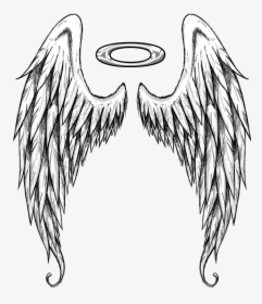 Home Wing Tattoo Designs, Design Tattoos, Angel Wings - Black And White Angel Wings Drawing, HD Png Download, Free Download