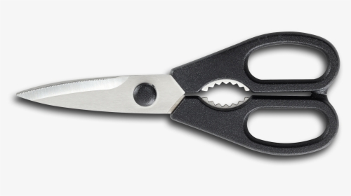 Kitchen Shears, Stainless, Dettachable - Rostfrei Solingen Scissor, HD Png Download, Free Download