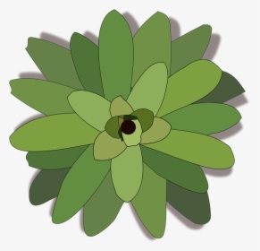 Free Bromelia-02 - Tree Top View Icon Png Transparent, Png Download, Free Download