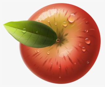Transparent Plant Top View Png - Apple Png Top View, Png Download, Free Download