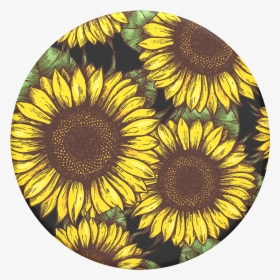 Sunflowers Popsocket, HD Png Download, Free Download